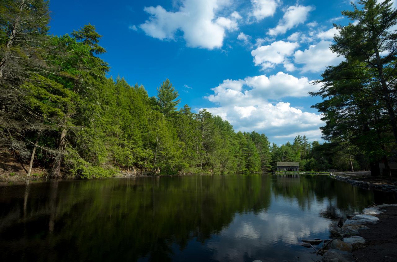 The Cottage In The Pines Cahoonzie Экстерьер фото